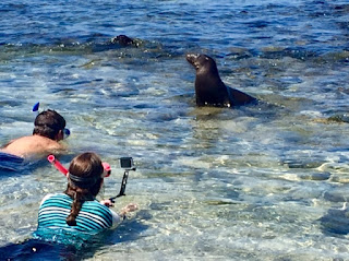 Galápagos Part 2, The Rest of the Story