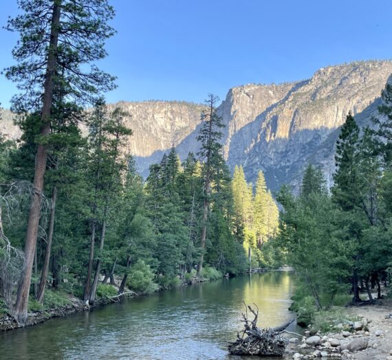 The Splendors of Yosemite; Rock, Water and Flowers Kept Me in Awe