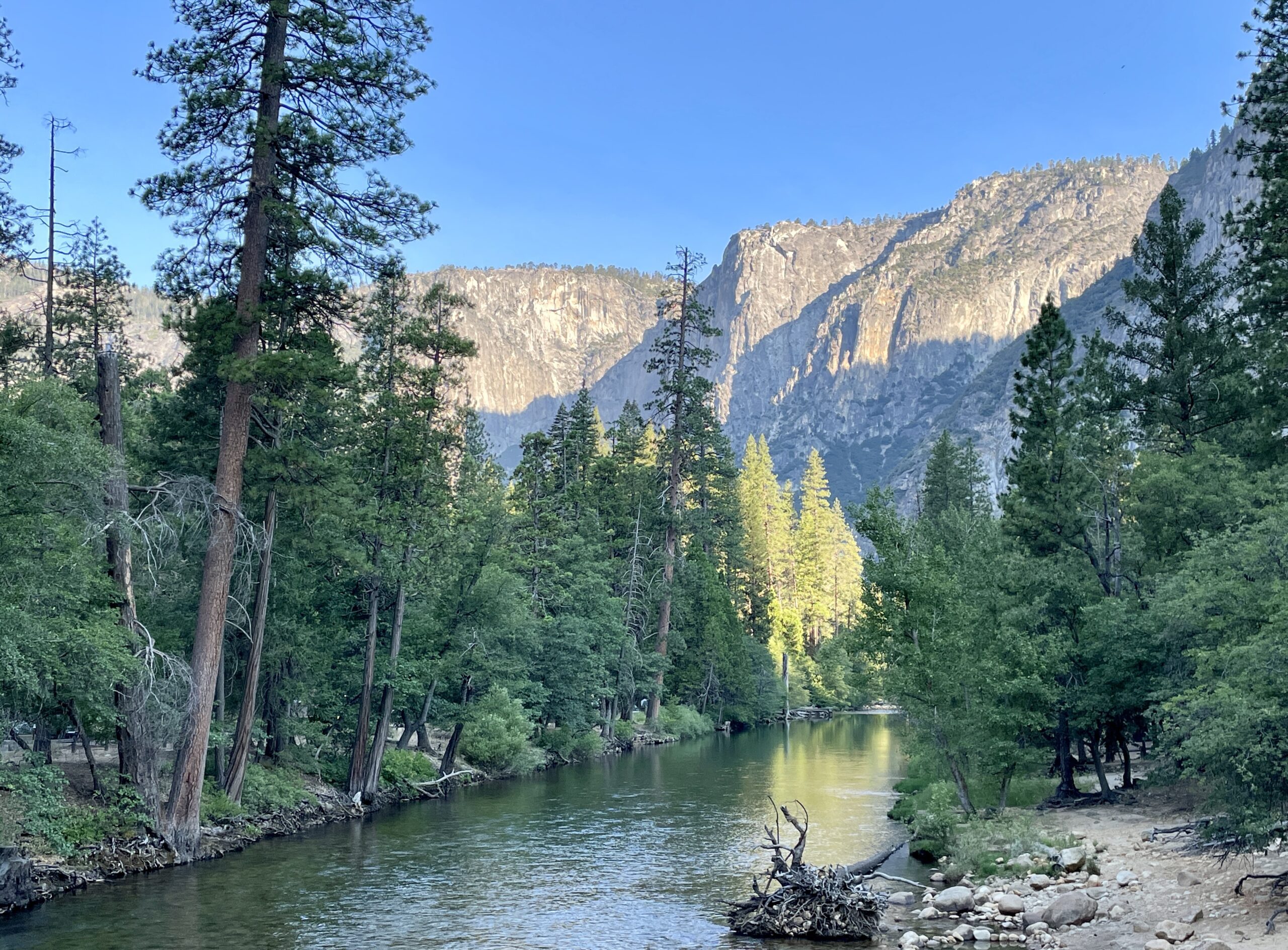 The Splendors of Yosemite; Rock, Water and Flowers Kept Me in Awe