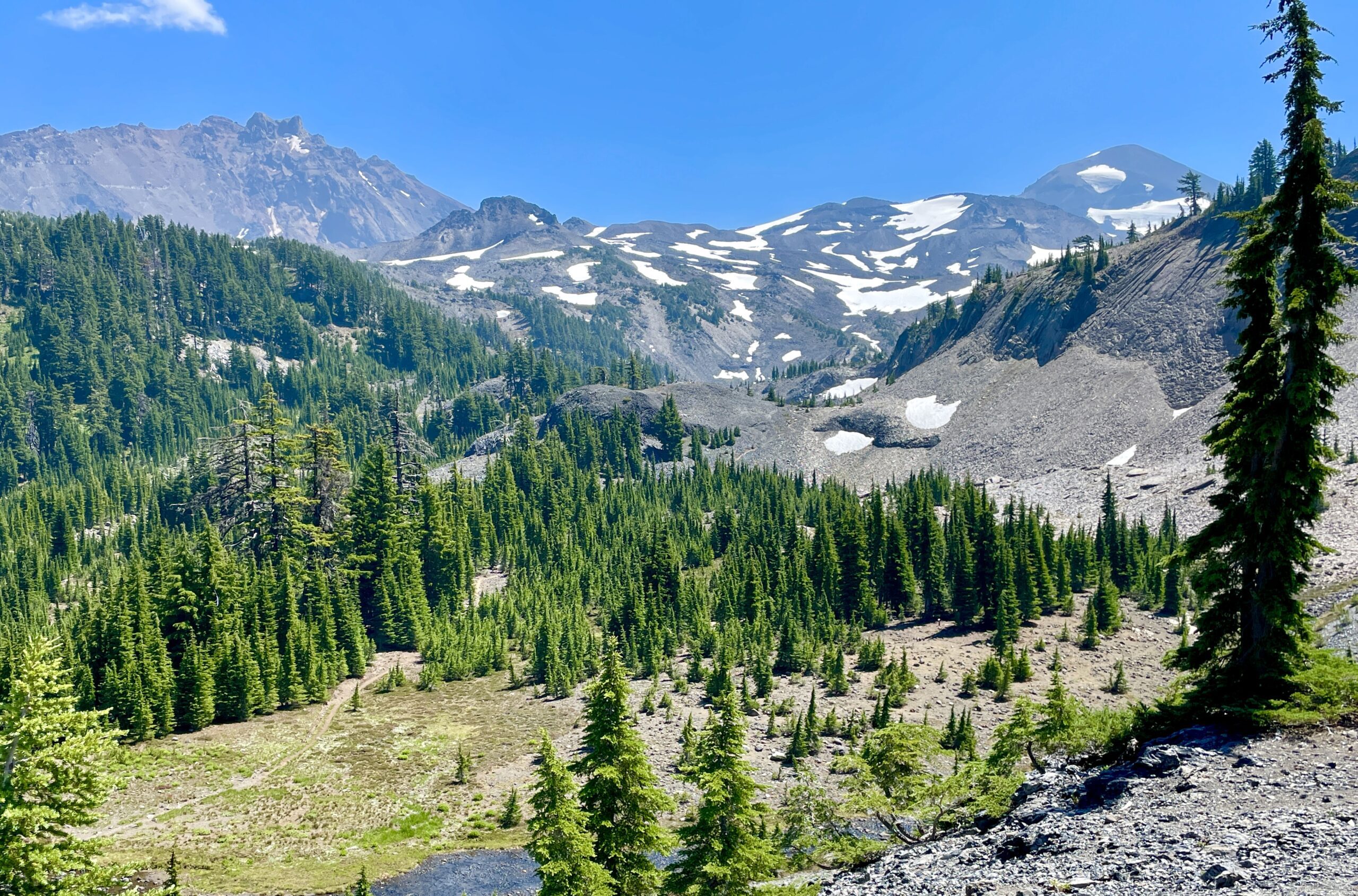 Trail Update: Skipping Ahead to the Home of My Heart: the PNW!