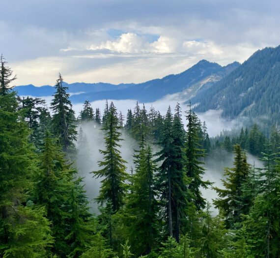 The Heart of Washington Cascades: Snoqualmie Pass, Stevens Pass, Glacier Peak and Some Great Friends