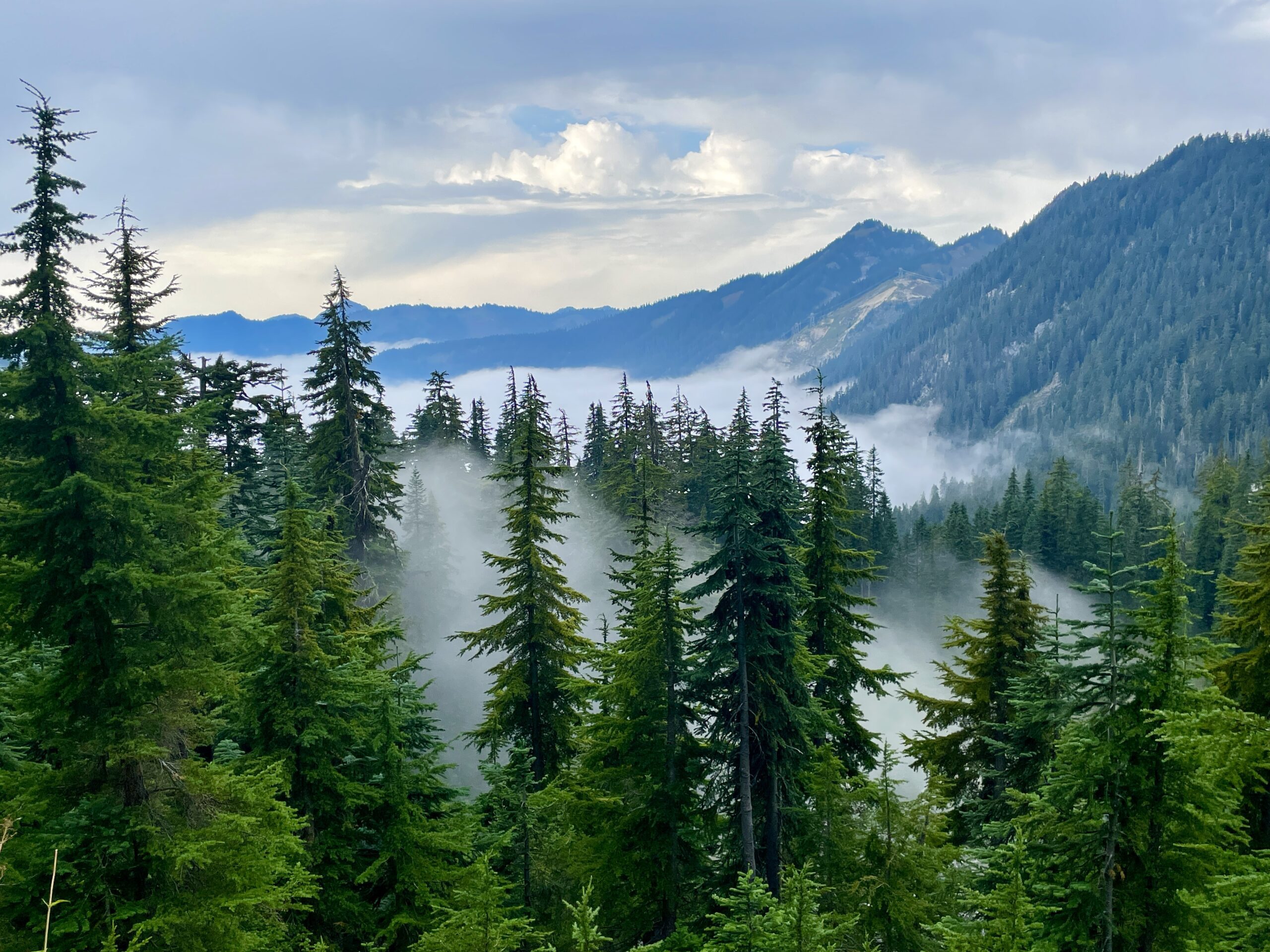 The Heart of Washington Cascades: Snoqualmie Pass, Stevens Pass, Glacier Peak and Some Great Friends