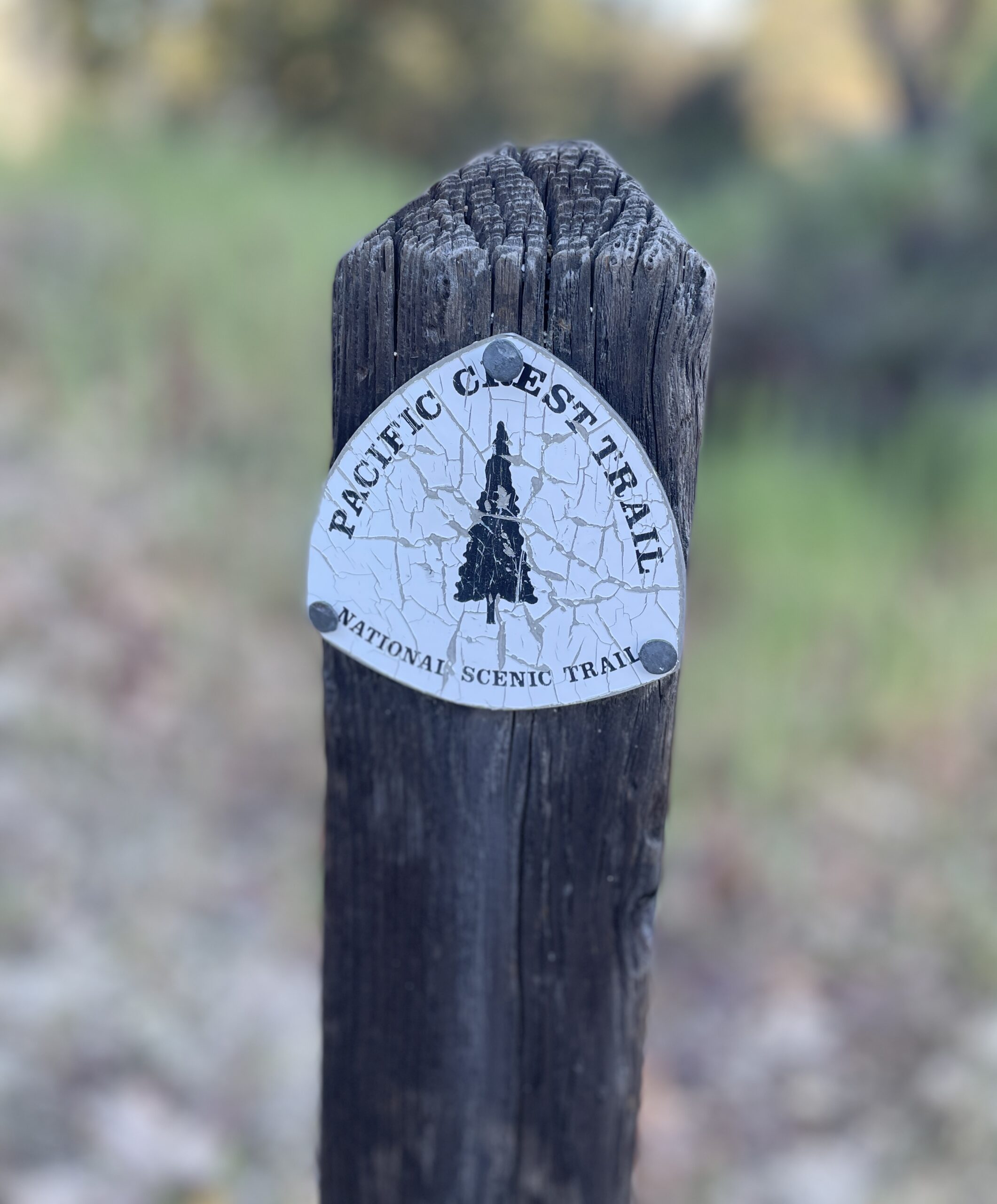 My PCT Journey, the Rest of the Story