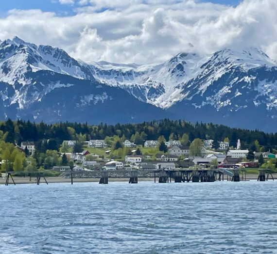 Salmon Attract Eagles, Bears and Visitors to Haines, Alaska