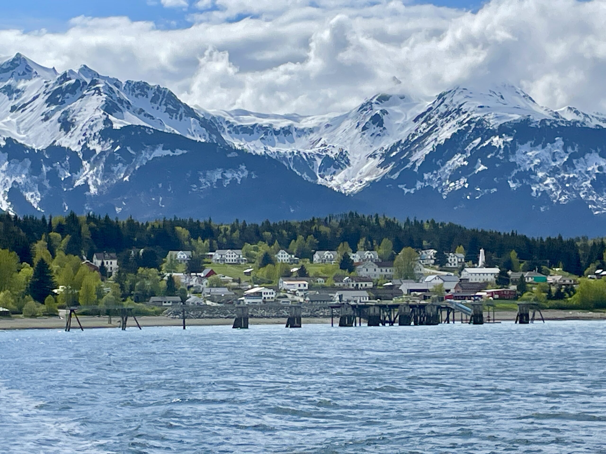 Salmon Attract Eagles, Bears and Visitors to Haines, Alaska