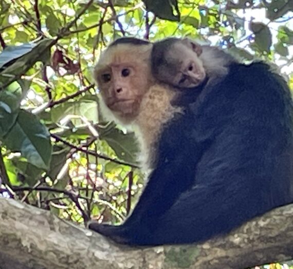 Ecotourism and Adventures in Costa Rica