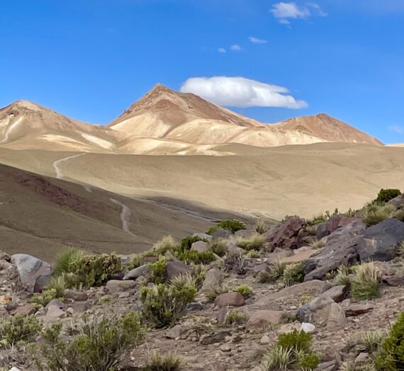 Surviving in the Altiplano of Southwest Bolivia